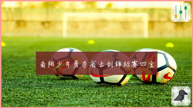 南阳少年勇夺省击剑锦标赛四金